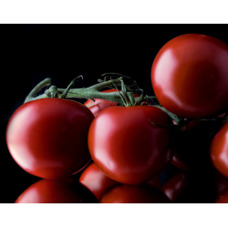 Tomato Kumato,  seeds